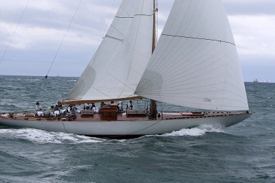 7417 Voiles de Saint-Tropez 2015 - IMG_3759_DxO Pbase.jpg