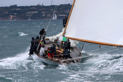 7426 Voiles de Saint-Tropez 2015 - IMG_3768_DxO Pbase.jpg