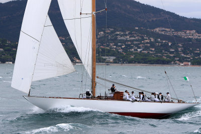 7461 Voiles de Saint-Tropez 2015 - IMG_3803_DxO Pbase.jpg