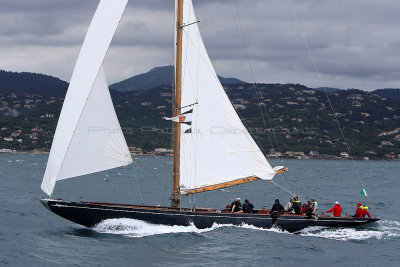 7597 Voiles de Saint-Tropez 2015 - IMG_3939_DxO Pbase.jpg