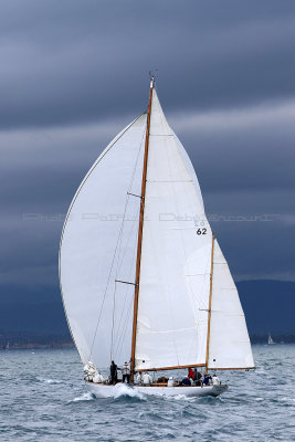 7607 Voiles de Saint-Tropez 2015 - IMG_3949_DxO Pbase.jpg