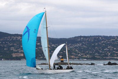 7676 Voiles de Saint-Tropez 2015 - IMG_4018_DxO Pbase.jpg