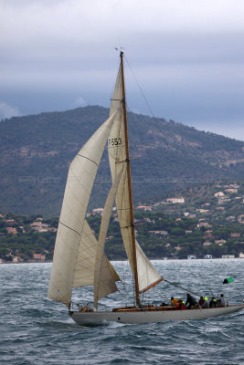 7730 Voiles de Saint-Tropez 2015 - IMG_4073_DxO Pbase.jpg