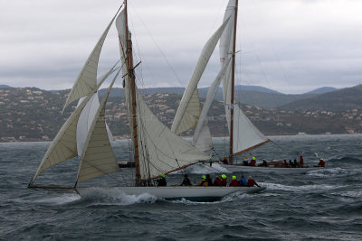 7759 Voiles de Saint-Tropez 2015 - IMG_4103_DxO Pbase.jpg