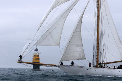 7800 Voiles de Saint-Tropez 2015 - IMG_4138_DxO Pbase.jpg