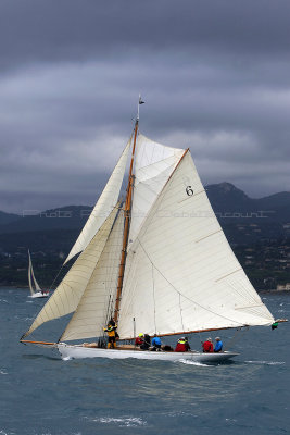 7886 Voiles de Saint-Tropez 2015 - IMG_4223_DxO Pbase.jpg