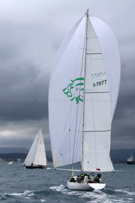 7888 Voiles de Saint-Tropez 2015 - IMG_4225_DxO Pbase.jpg