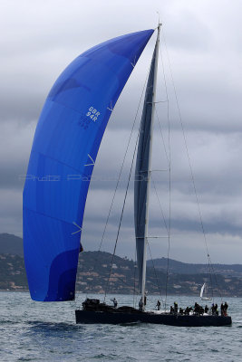 7983 Voiles de Saint-Tropez 2015 - IMG_4321_DxO Pbase.jpg