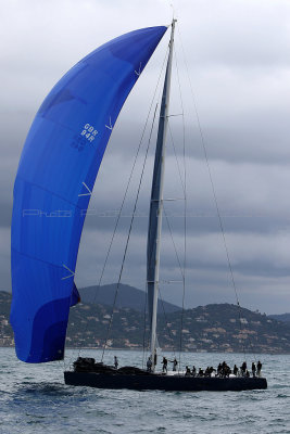 7984 Voiles de Saint-Tropez 2015 - IMG_4322_DxO Pbase.jpg