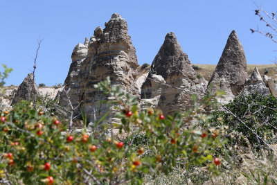 2465 Vacances en Cappadoce - IMG_0488_DxO Pbase 3.jpg