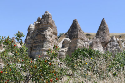2467 Vacances en Cappadoce - IMG_0490_DxO Pbase 3.jpg
