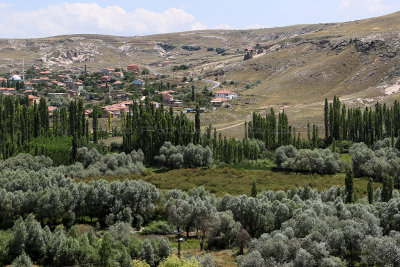 3190 Vacances en Cappadoce - IMG_1223_DxO Pbase.jpg