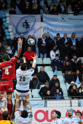 460 Rugby Racing 92 vs Scarlets au stade Yves du Manoir - IMG_5276_DxO optimise Pbase.jpg