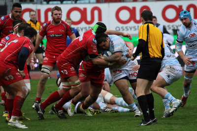 465 Rugby Racing 92 vs Scarlets au stade Yves du Manoir - IMG_5281_DxO optimise Pbase.jpg