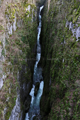 47 Vacances dans le Jura - IMG_2477_DxO Pbase.jpg