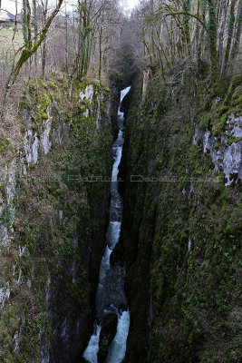 48 Vacances dans le Jura - IMG_2478_DxO Pbase.jpg