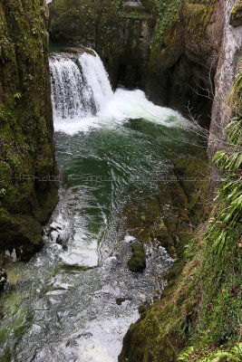 99 Vacances dans le Jura - IMG_2530_DxO Pbase.jpg