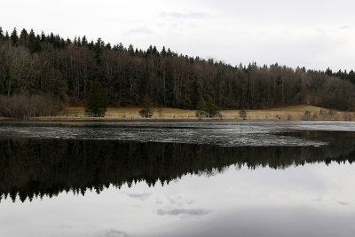 167 Vacances dans le Jura - IMG_2601_DxO Pbase.jpg