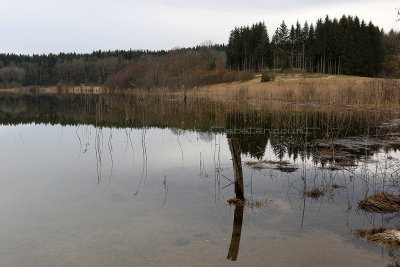 185 Vacances dans le Jura - IMG_2619_DxO Pbase.jpg