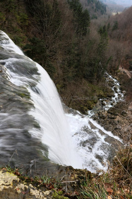 425 Vacances dans le Jura - IMG_2862_DxO Pbase.jpg