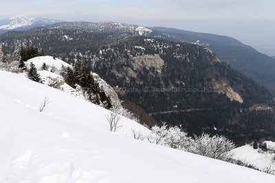 1078 Vacances dans le Jura - IMG_3530_DxO Pbase.jpg