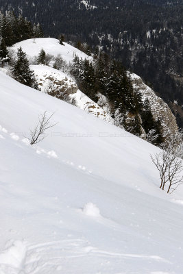 1092 Vacances dans le Jura - IMG_3544_DxO Pbase.jpg