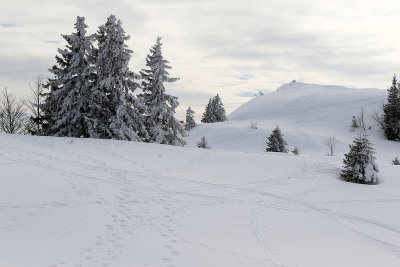 1102 Vacances dans le Jura - IMG_3554_DxO Pbase.jpg