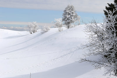 1111 Vacances dans le Jura - IMG_3563_DxO Pbase.jpg