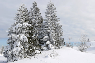 1115 Vacances dans le Jura - IMG_3567_DxO Pbase.jpg