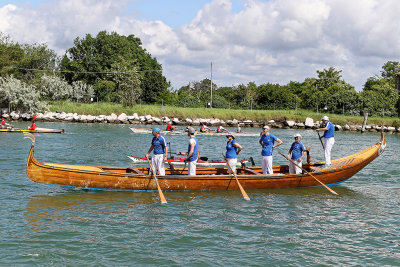 1077 Vogalonga 2016 - 42nd edition - IMG_8828_DxO Pbase.jpg