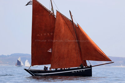 875 - Douarnenez Temps fte 2016 - IMG_0063_DxO 2 Pbase.jpg