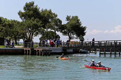 2668 - Venise mai 2016 - IMG_1262_DxO Pbase.jpg