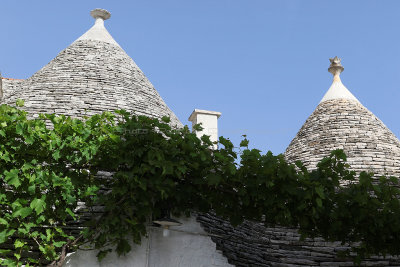 3460 - Vacances dans les Pouilles mai 2016 - IMG_6423_DxO Pbase.jpg