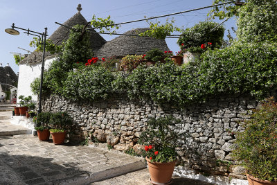 3496 - Vacances dans les Pouilles mai 2016 - IMG_6459_DxO Pbase.jpg