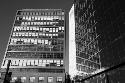 972 - New York octobre 2016 - IMG_5774_DxO Pbase.jpg