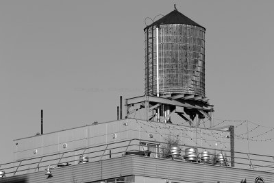 993 - New York octobre 2016 - IMG_5795_DxO Pbase.jpg