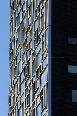 995 - New York octobre 2016 - IMG_5797_DxO Pbase.jpg