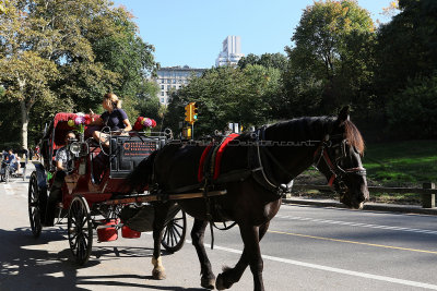 2229 - New York octobre 2016 - IMG_0249_DxO Pbase.jpg