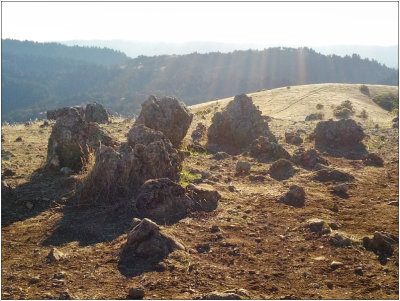 Black Mountain, Monte Bello Ridge, Dec. 2013