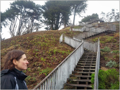 Walk #11, SF Stairs, Feb. 2014