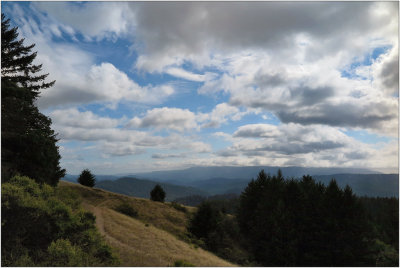 Santa Cruz Mountains, Sept. 2014
