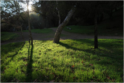 Alum Rock park, Jan. 2015