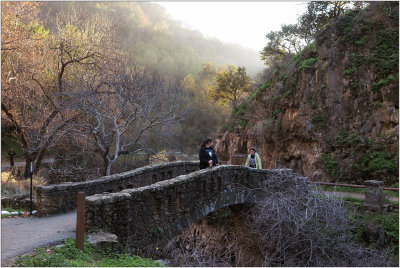 Alum Rock park, Jan. 2015