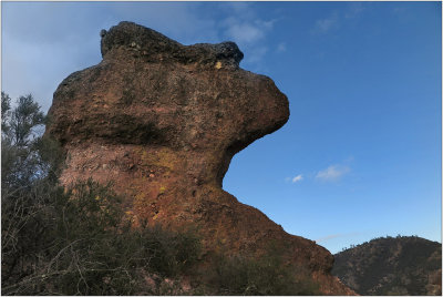 Pinnacles, Apr. 2015