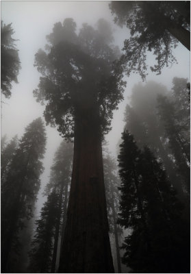 Miscellaneous Images from 2015