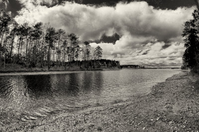 IMG_4164_bw