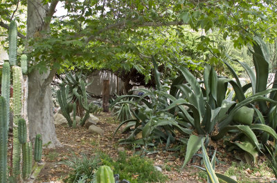 Teds Garden 2016 copy.jpg