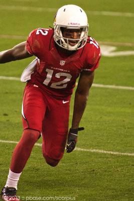 2013 Arizona Cardinals