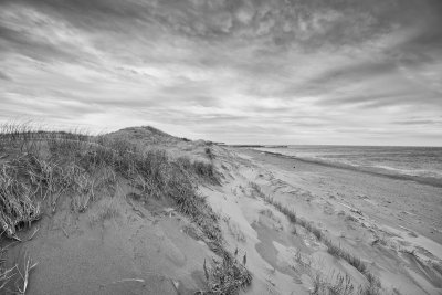 _DSC1103_BW.jpg
