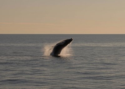 g9/09/590009/3/153420319.a8n0Gwn7.jpg